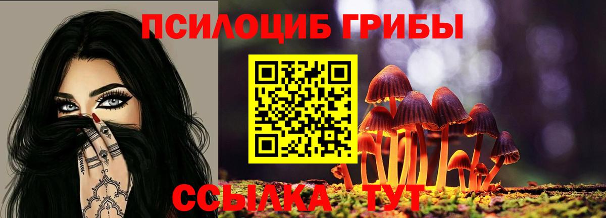 Урус-Мартан  Галлюциногенные грибы Psilocybe  Псилоцибиновые грибы ЛСД  Вход с VPN 